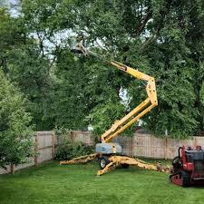 Best Tree Health Inspection  in Hackettstown, NJ